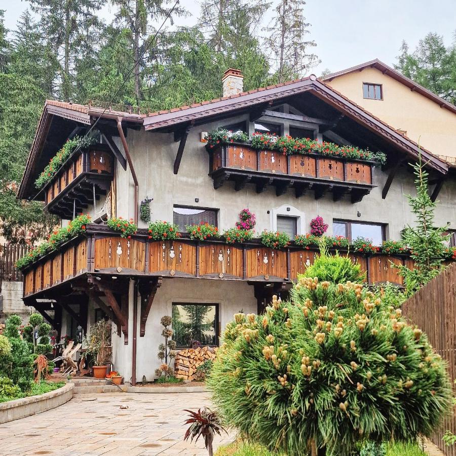 Amor Tirol Bușteni Dış mekan fotoğraf