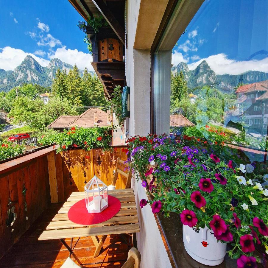 Amor Tirol Bușteni Dış mekan fotoğraf