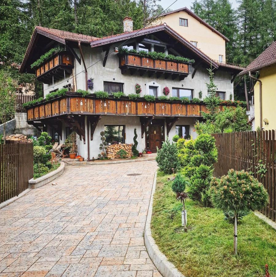 Amor Tirol Bușteni Dış mekan fotoğraf