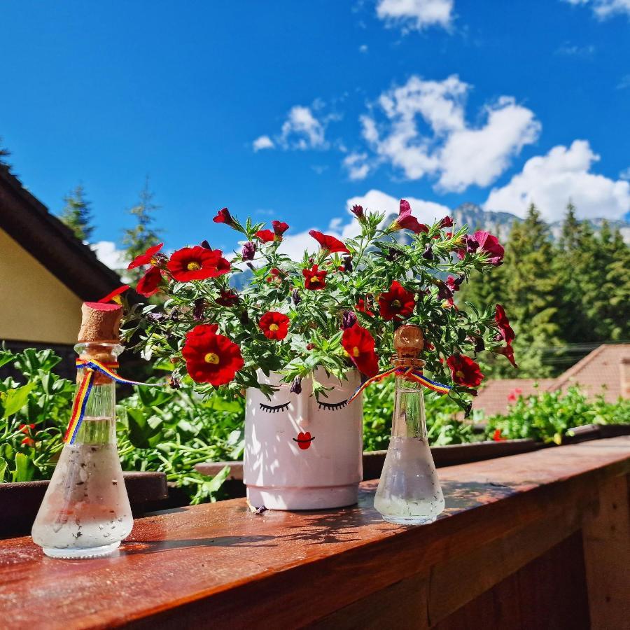 Amor Tirol Bușteni Dış mekan fotoğraf