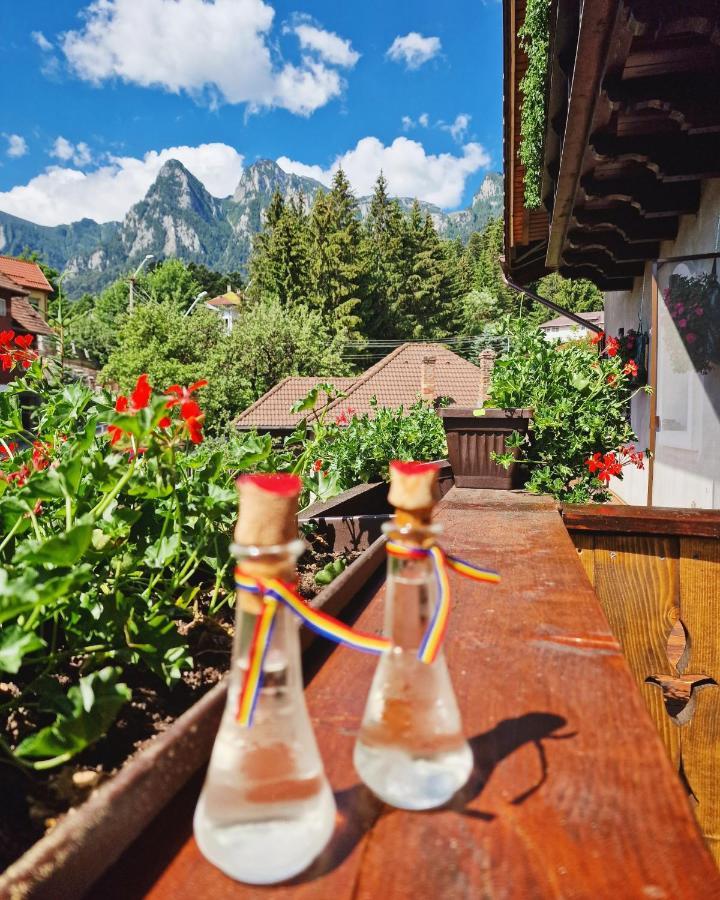 Amor Tirol Bușteni Dış mekan fotoğraf