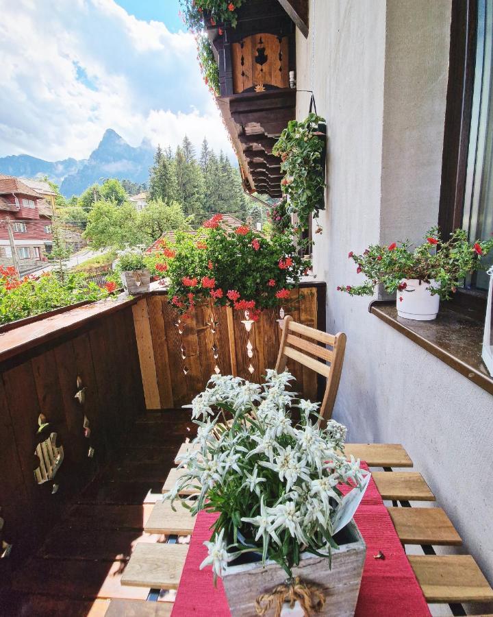 Amor Tirol Bușteni Dış mekan fotoğraf