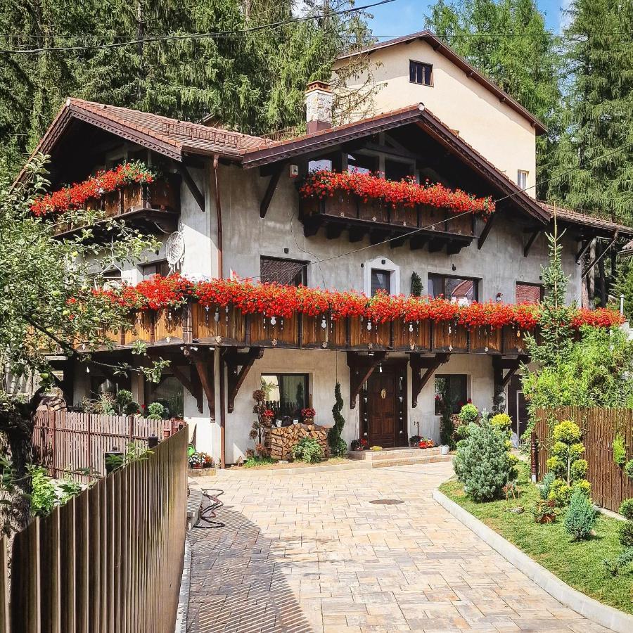 Amor Tirol Bușteni Dış mekan fotoğraf