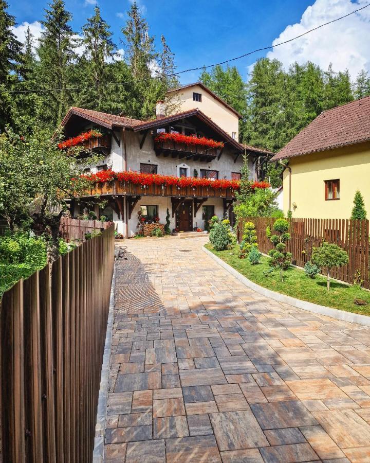 Amor Tirol Bușteni Dış mekan fotoğraf