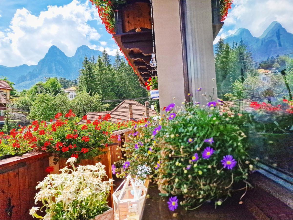 Amor Tirol Bușteni Dış mekan fotoğraf