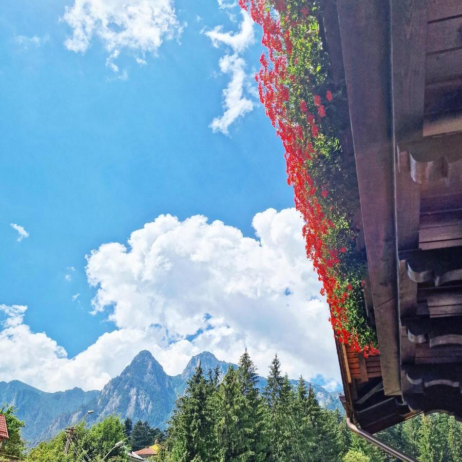 Amor Tirol Bușteni Dış mekan fotoğraf