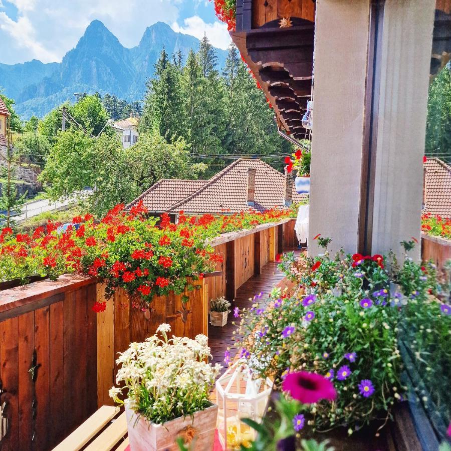 Amor Tirol Bușteni Dış mekan fotoğraf
