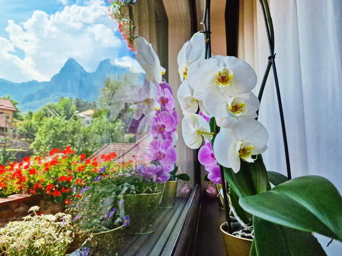 Amor Tirol Bușteni Dış mekan fotoğraf