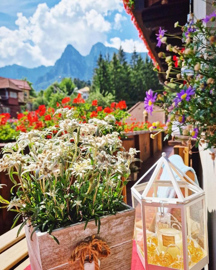 Amor Tirol Bușteni Dış mekan fotoğraf