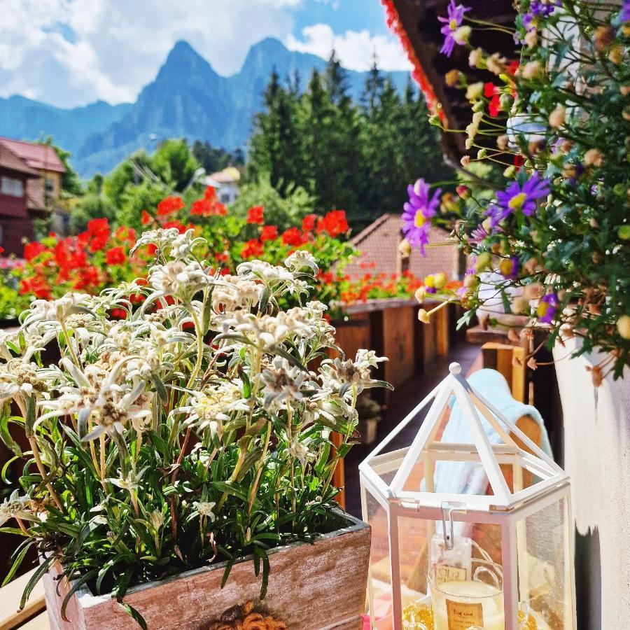 Amor Tirol Bușteni Dış mekan fotoğraf
