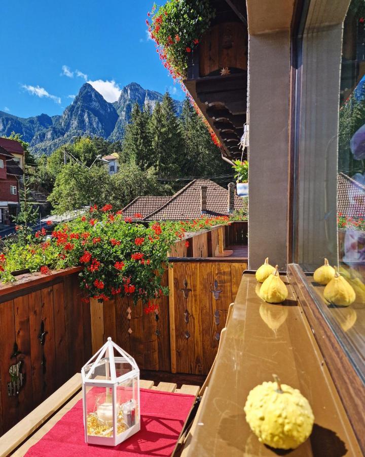 Amor Tirol Bușteni Dış mekan fotoğraf