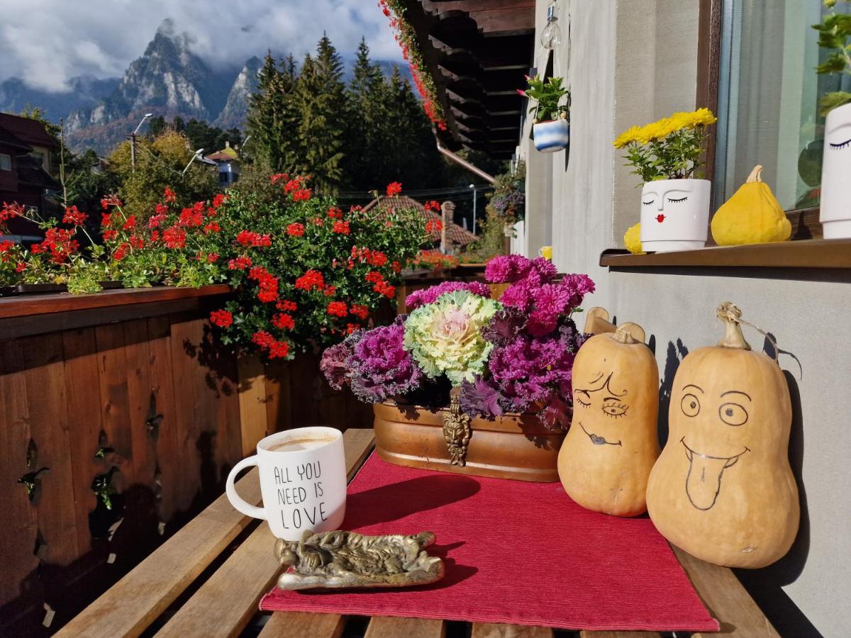 Amor Tirol Bușteni Dış mekan fotoğraf