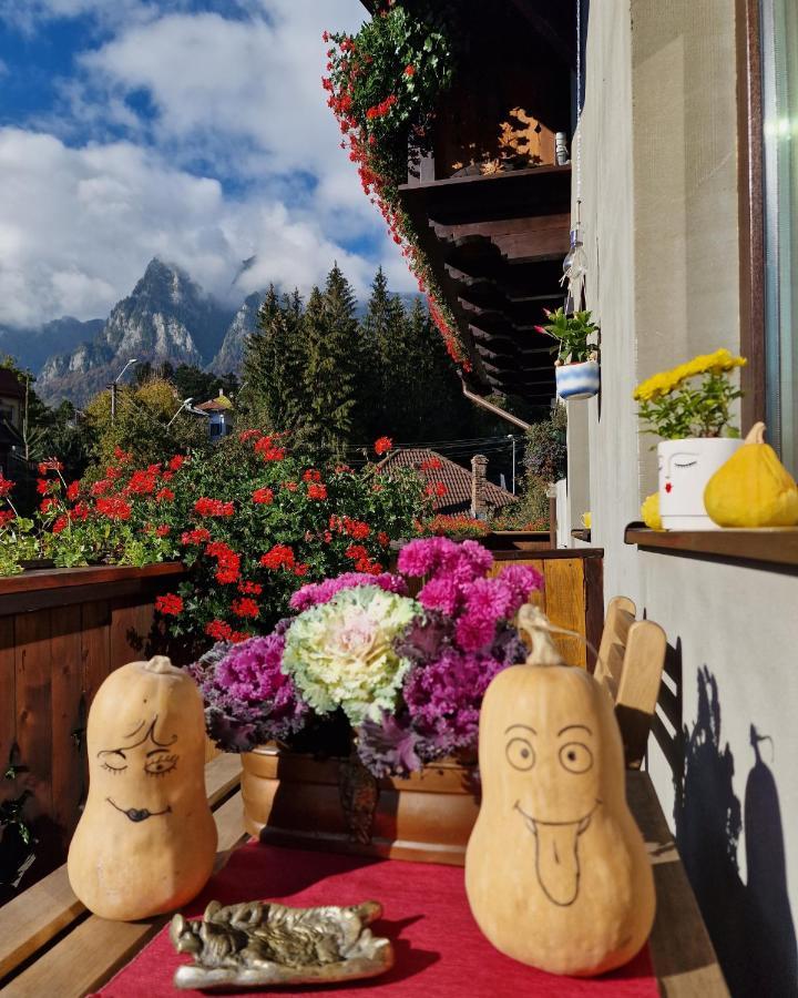 Amor Tirol Bușteni Dış mekan fotoğraf