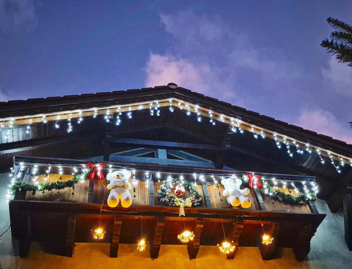 Amor Tirol Bușteni Dış mekan fotoğraf